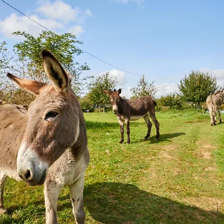 La Favrais By Interhome *