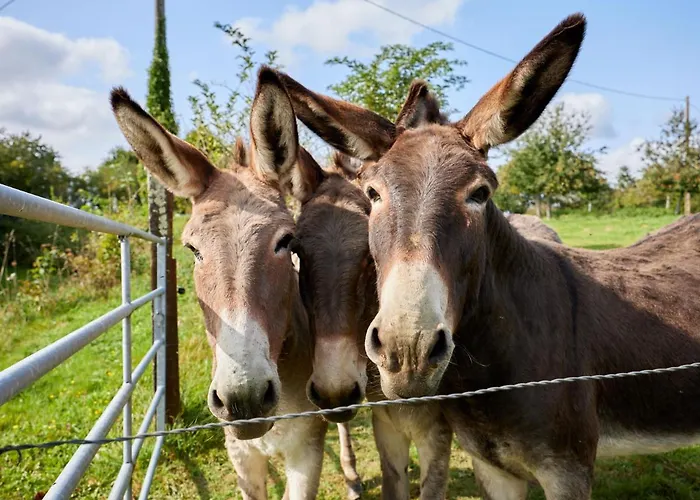 Vakantiehuis La Favrais By Interhome